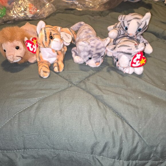 Collection of Beanie Babie - Picture 1 of 16